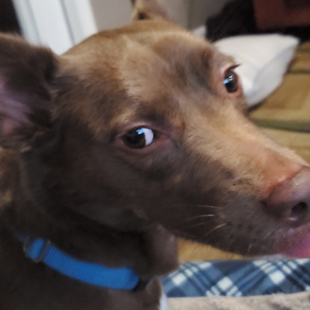 Meet your Posher, Vanessa